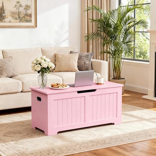 SUPER DEAL Storage Chest, 39 inches Chest Box Organizer with 2 Safety Hinges,...