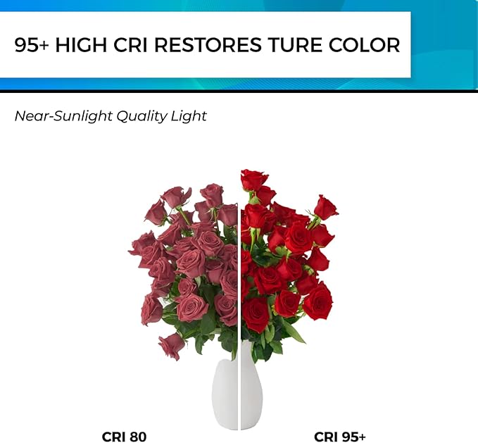 Hizashi Vintage LED Light Bulb Dimmable, 6W Equivalent 60W, Edison Bulbs 4000...