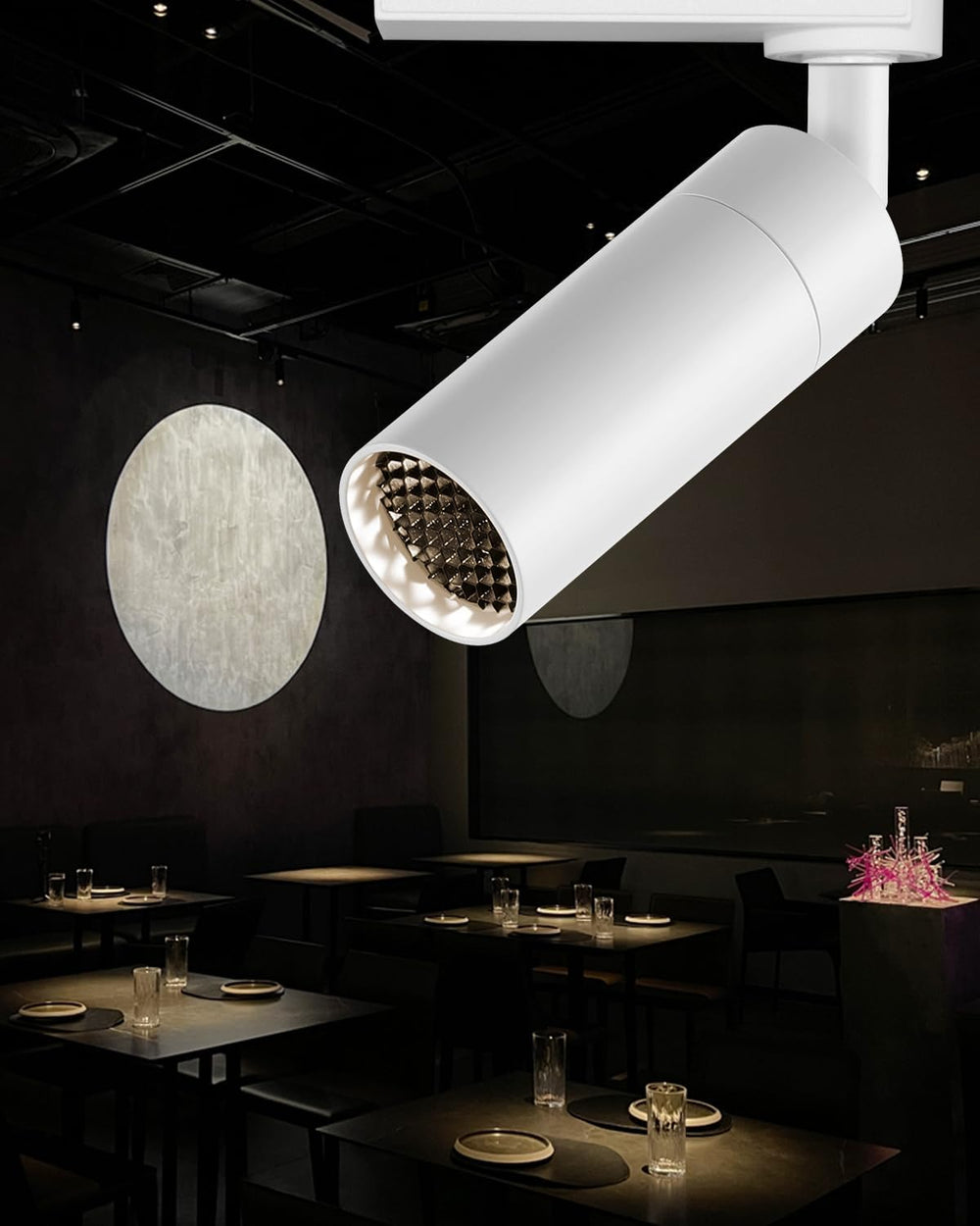 Gpaillumic LED Track Lighting Heads Compatible
