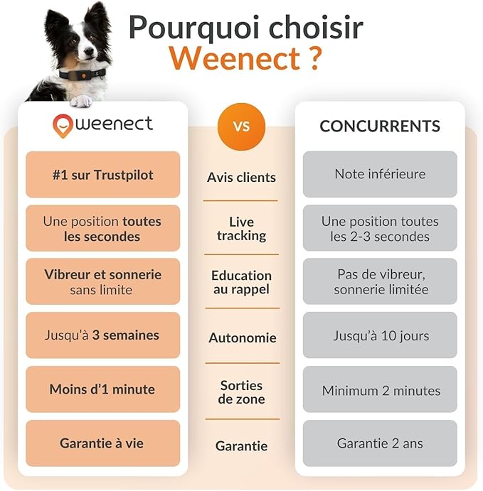 Weenect Dog XT - New GPS Collar