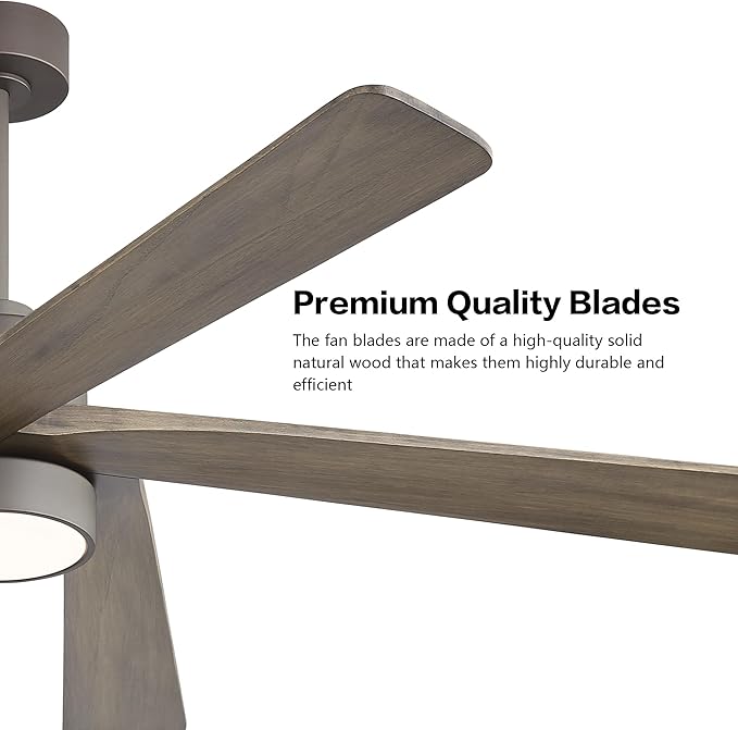 WINGBO 64 Inch DC Ceiling Fan