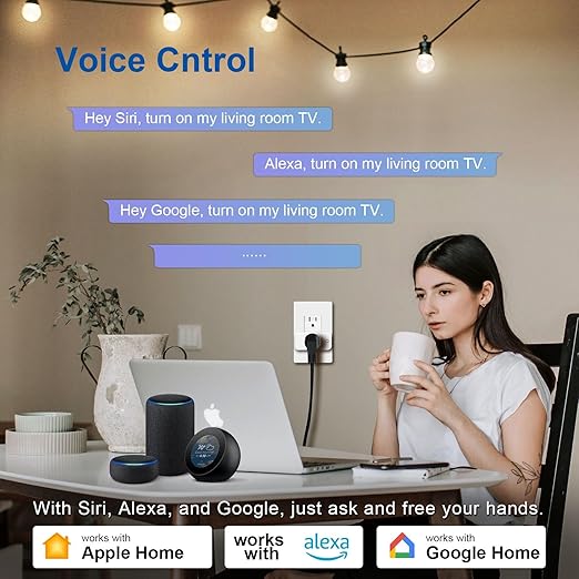 Smart in-Wall Outlet, Matter Smart Socket, 15A Smart Charger, Voice Control (...