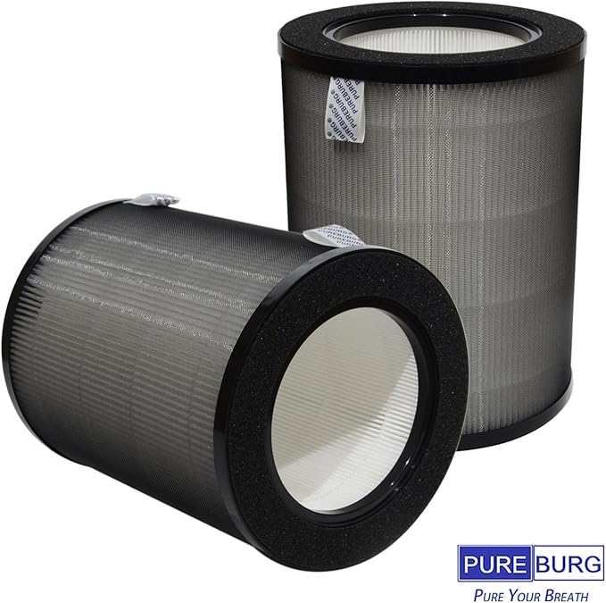 PUREBURG DR-HPA019 Replacement Filter Compatible (2-Pack)