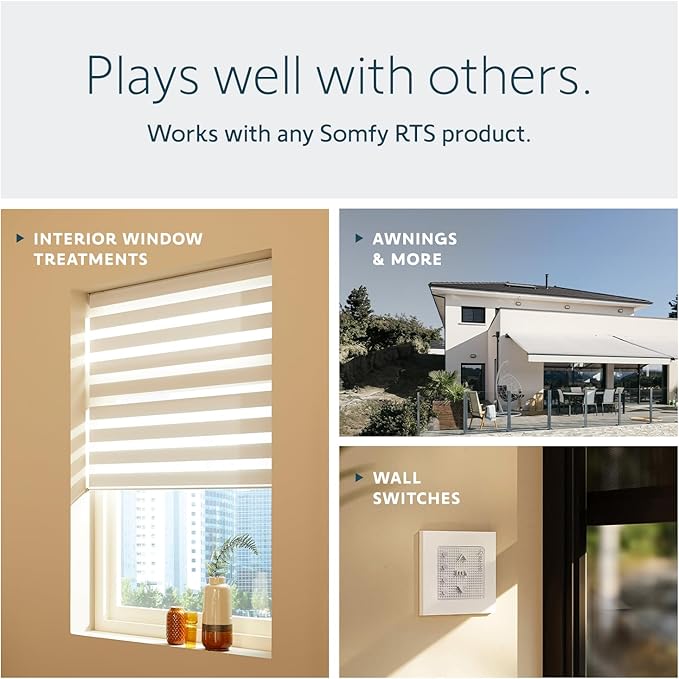 Somfy Telis 1 RTS Patio Remote