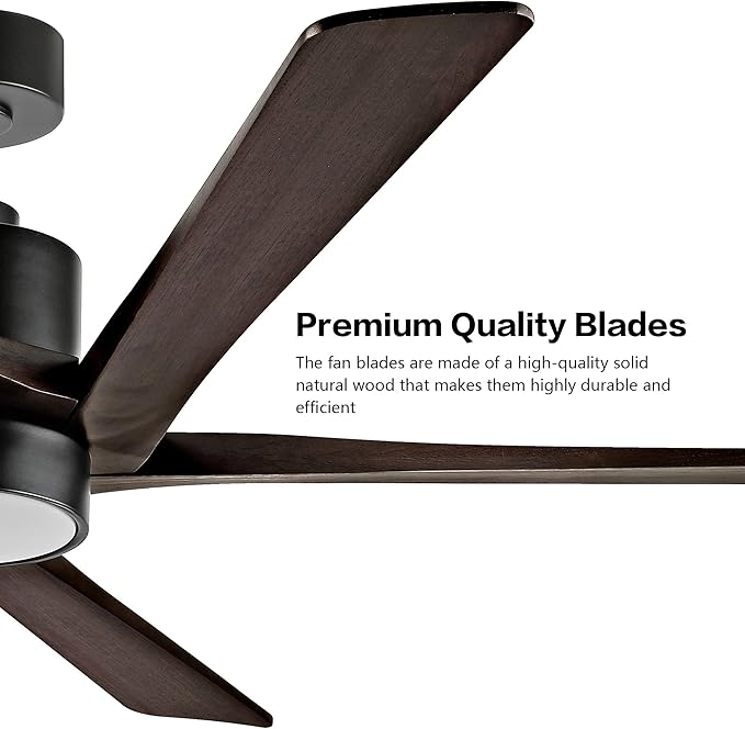 WINGBO 54 Inch DC Ceiling Fan
