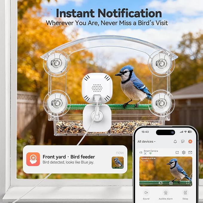 Dzees Smart Window Bird Feeder