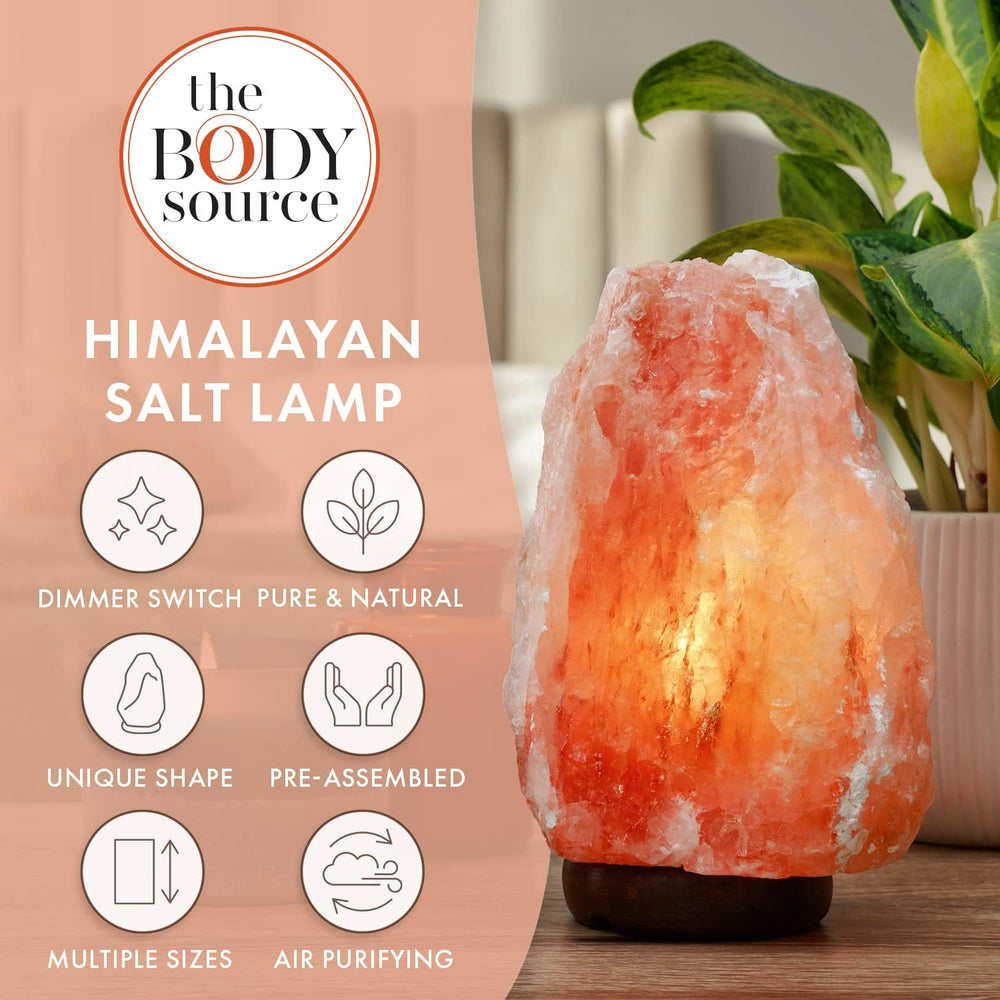 Himalayan Salt Lamp for Bedroom Large 8-10 Inch Pink Salt Rock Lamp with Dimm...