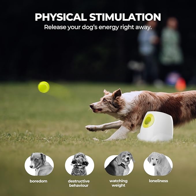 ALL FOR PAWS Automatic Ball Launcher for Dogs Interactive Puppy Pet Ball (6 Pcs)