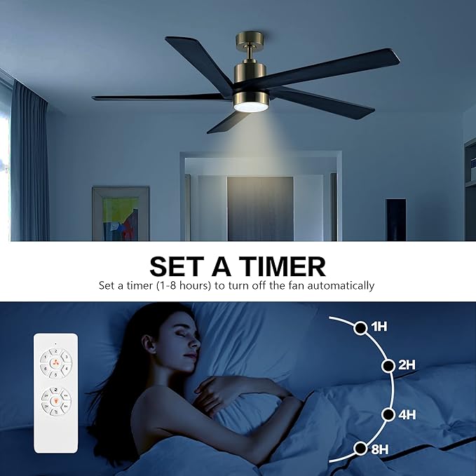 WINGBO 64 Inch DC Ceiling Fan