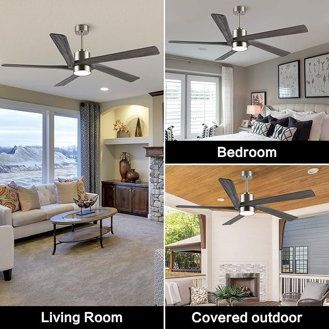 WINGBO 54 Inch DC Ceiling Fan