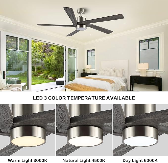 WINGBO 54 Inch DC Ceiling Fan