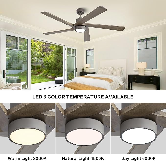WINGBO 64 Inch DC Ceiling Fan