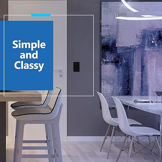 LIDER Minimalist Design Matte Finish Lighted Decorator Switch, Frameless Padd...