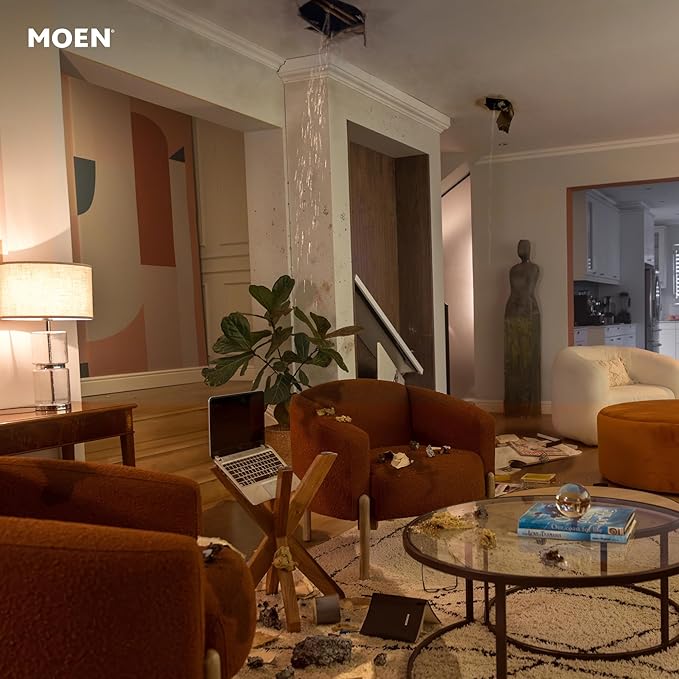 Moen Flo Smart Water Monitor and Automatic Shutoff Sensor, Wi-Fi Connected