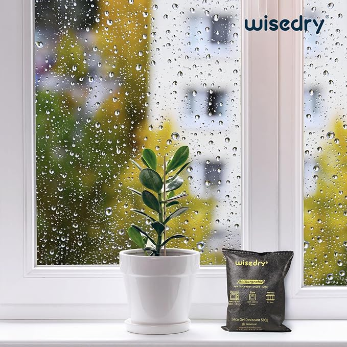 wisedry 10 x 500 Grams Rechargeable Silica Gel Car Dehumidifier, Microwave Fast
