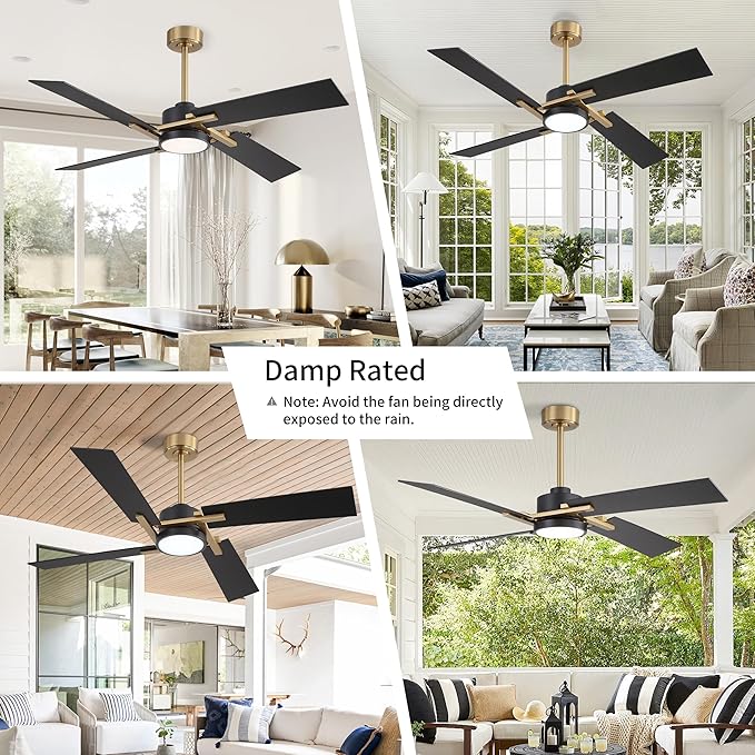 WINGBO 54 Inch Ceiling Fan