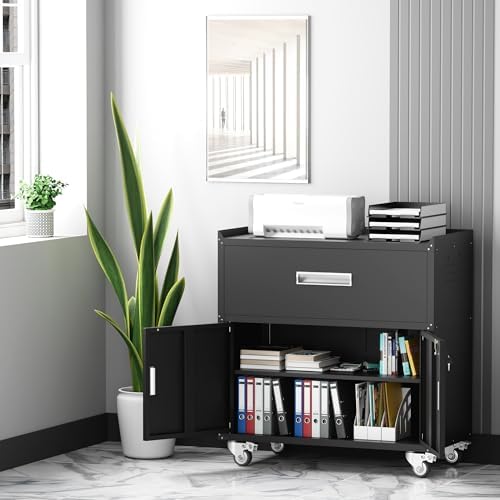 LCAOPC Metal Garage Storage Cabinet with Wheels, Lockable Rolling Tool Cabine...