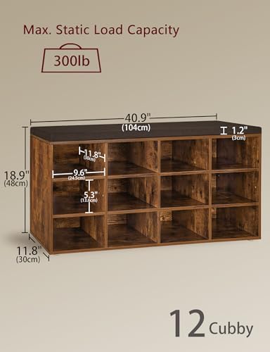 DINZI LVJ Shoe Storage Bench with Cushion, 40.9" Cubby Shoe Rack, 12-Cubby