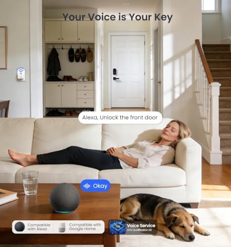 Veise VE017-H 8-in-1 Fingerprint Smart Front Door Lock Set, Matte Black