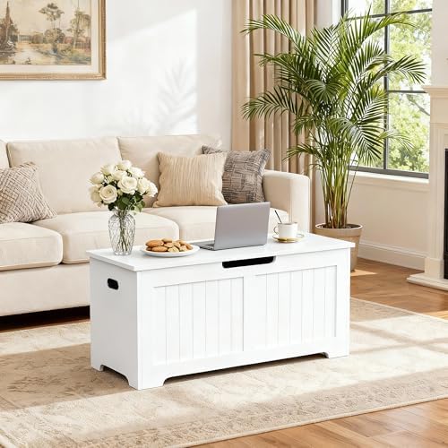 ZENY Storage Chest, Lift Top Storage Trunk, Entryway Shoe Bench, Wooden Stora...