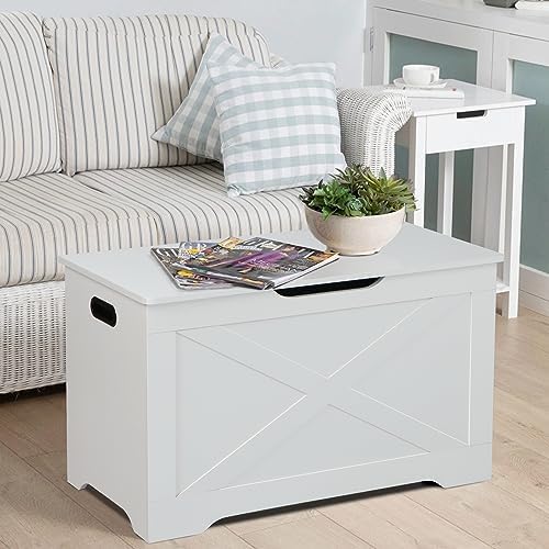 Timberer 31.5" Storage Chest, Wooden Storage Bench, Entryway Shoes Bench