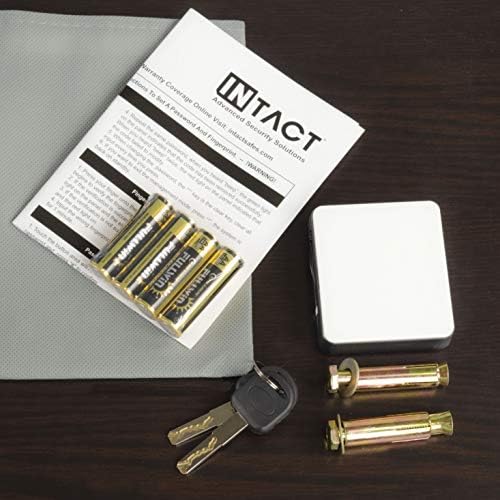 Eylar Intact Compact Quick Access Biometric Fingerprint Gun Safe With Nex-Gen...