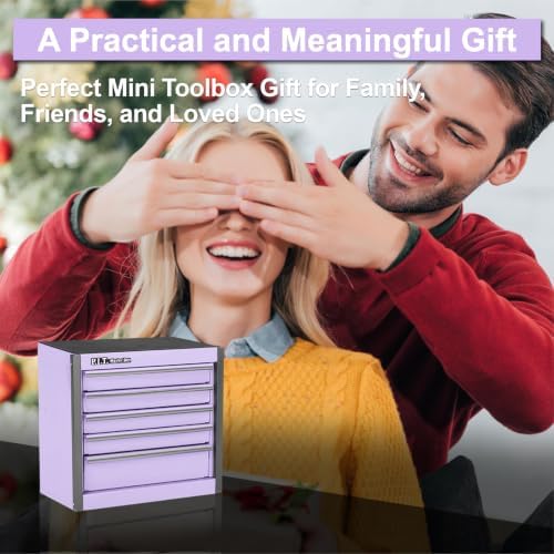 Mini Tool Box with 5 Drawer,Purple Metal Toolbox for Multi-Purpose Storage