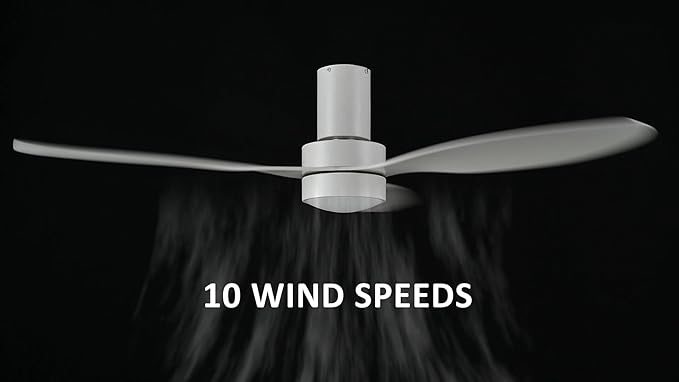 SMAAIR 52 Inch Ceiling Fan