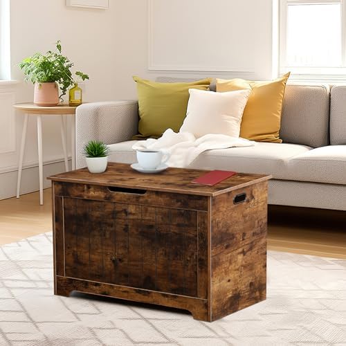 LEMY Storage Chest Bench, Wooden Trunk Box with 2 Safety Hinges, Modern Organ...