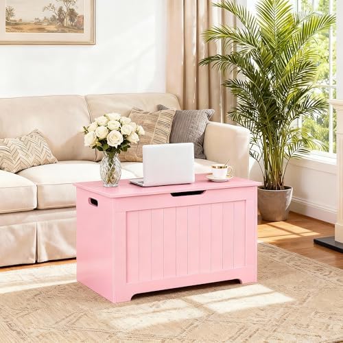 ZENY Storage Chest, Lift Top Storage Trunk, Entryway Shoe Bench, Wooden Stora...