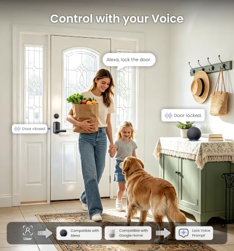 Veise VE029-E WiFi Smart Lever Lock with Non-Keyed Deadbolt, Matte Black