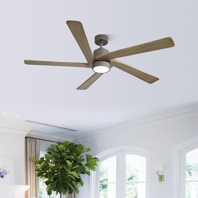 WINGBO 64 Inch DC Ceiling Fan