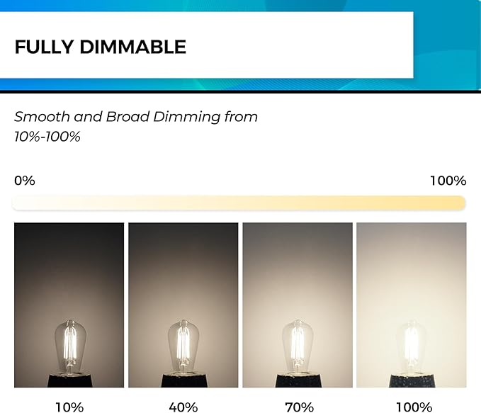 Hizashi Vintage LED Light Bulb Dimmable, 6W Equivalent 60W, Edison Bulbs 4000...