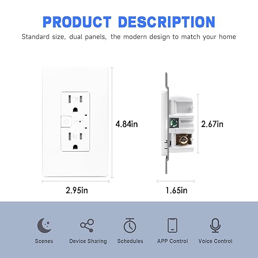 Smart in-Wall Outlet, Matter Smart Socket, 15A Smart Charger, Voice Control (...
