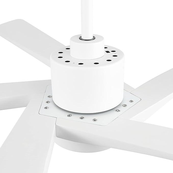 WINGBO 54" DC Ceiling Fan with Lights and Remote Control, 5 Carved Wood ...