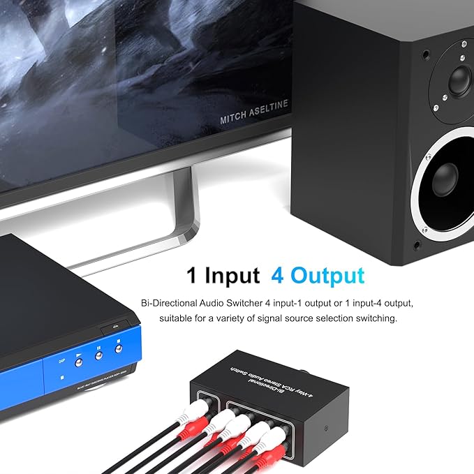 Dingsun 4-Way Stereo Audio Switcher, Bi-Directional Right and Left Channel