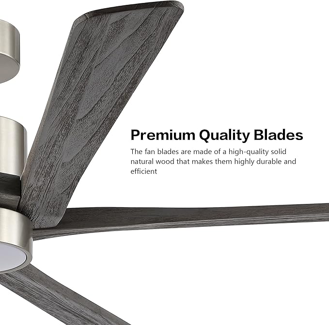 WINGBO 54 Inch DC Ceiling Fan