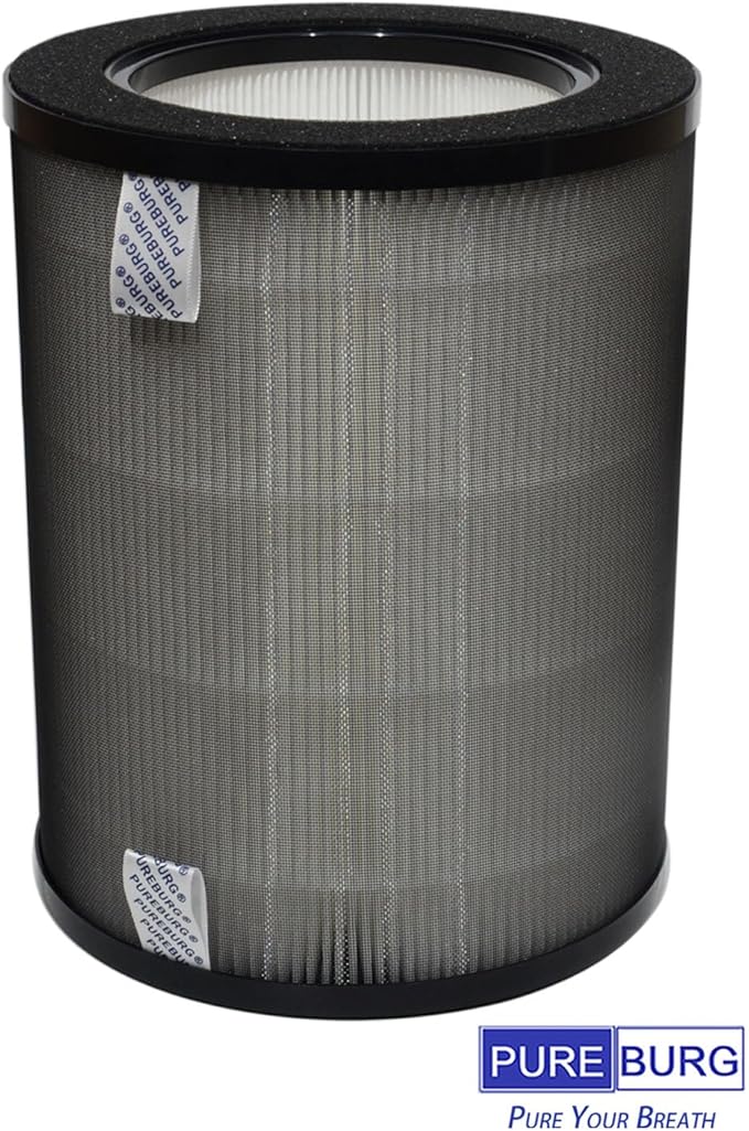 PUREBURG DR-HPA019 Replacement Filter Compatible (2-Pack)