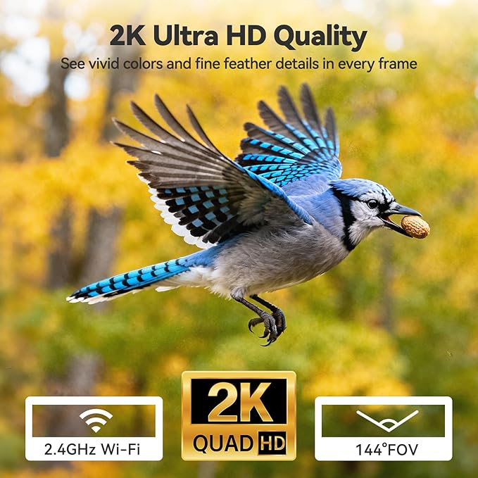 Dzees Smart Window Bird Feeder