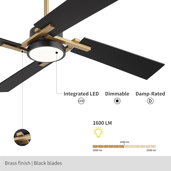 WINGBO 54 Inch Ceiling Fan