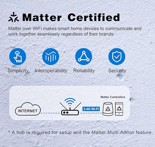 Smart in-Wall Outlet, Matter Smart Socket, 15A Smart Charger, Voice Control (...