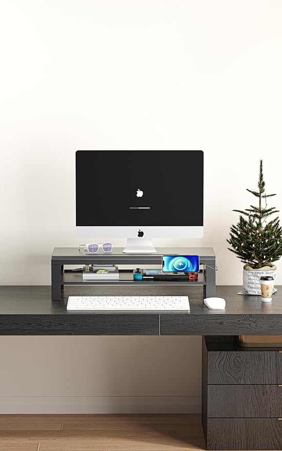 GECKOSTROLL 2-Tier Metal Computer Monitor Stand & Laptop Desk Shelf, 21.6...