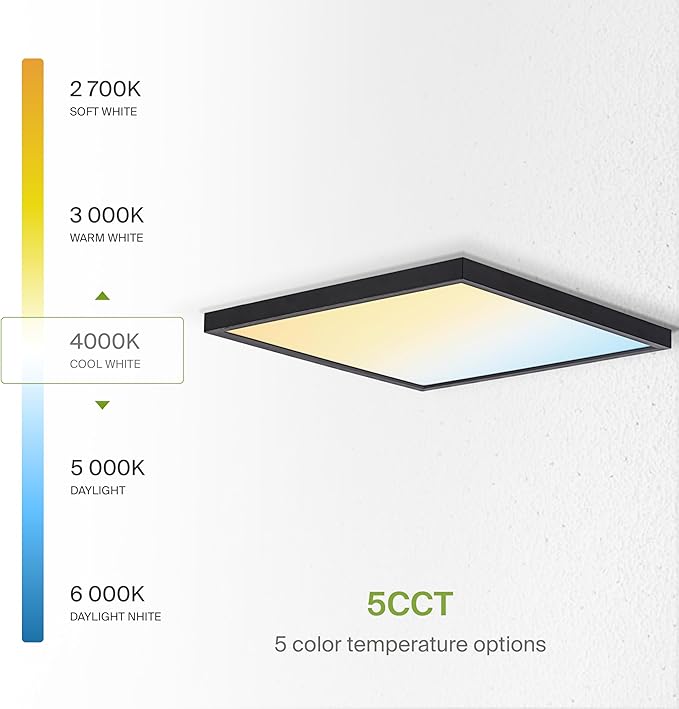 ASD LED 12" Square Flush Mount Ceiling Light Fixture, Low Profile Surfac...