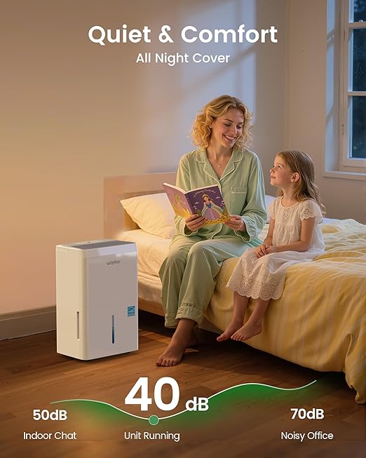 Waykar 5000 Sq.Ft 2025 Energy Star Dehumidifier