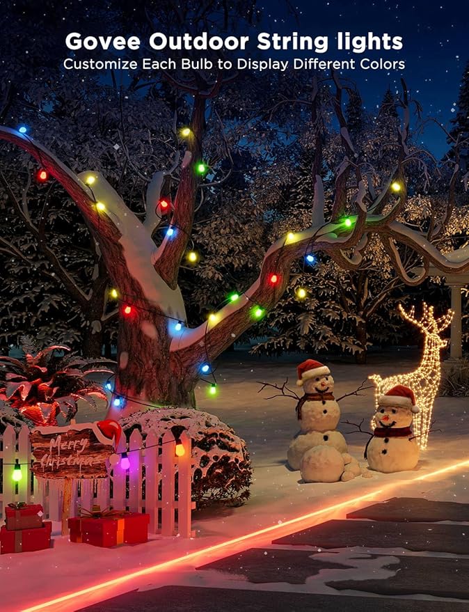 Govee Smart Outdoor String Lights H7029, 24ft RGBIC Outdoor Lights