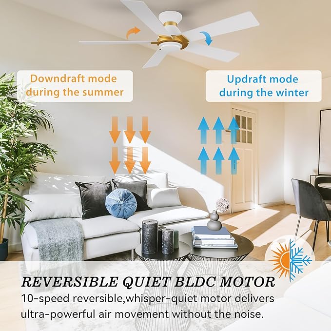 SMAAIR 52 Inch Smart Ceiling Fan